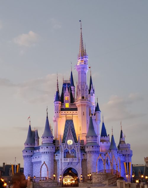 Tips For Visiting Disney World - Cynthia Janine